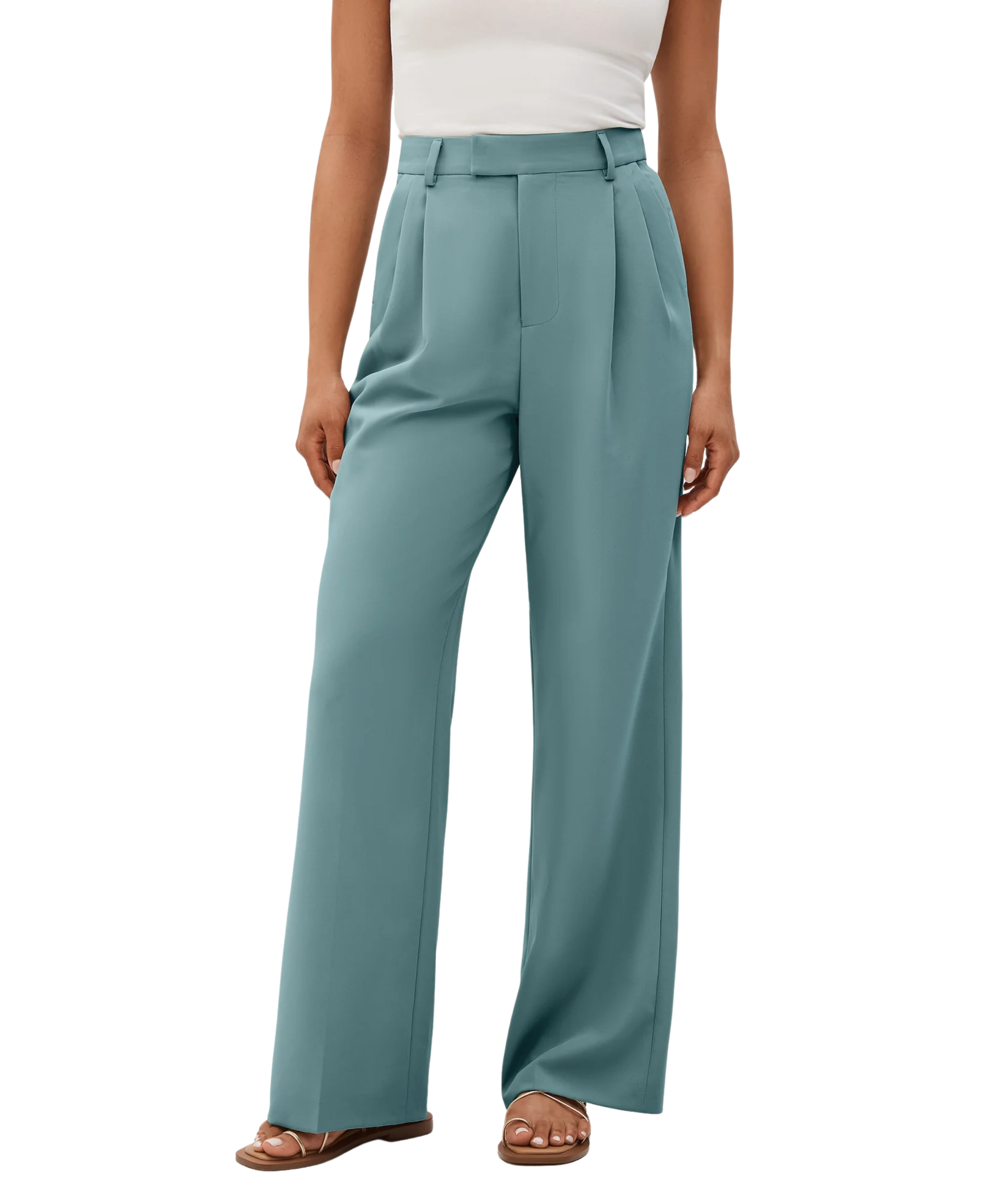 Pleated Trousers